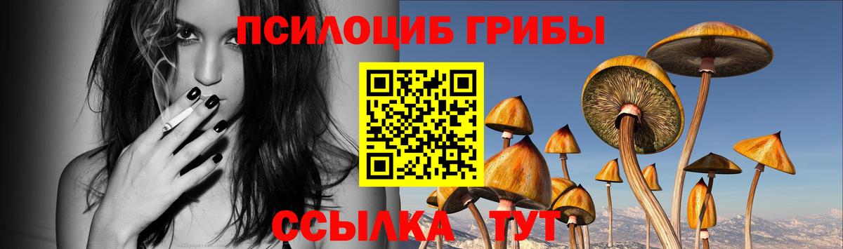 Псилоцибиновые грибы Psilocybe  Вход с VPN  Галлюциногенные грибы GOLDEN TEACHER  Черняховск 